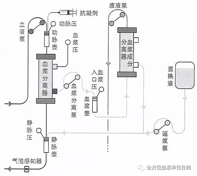 JUN 55X讓你擁有健康快樂的心臟-9.jpg